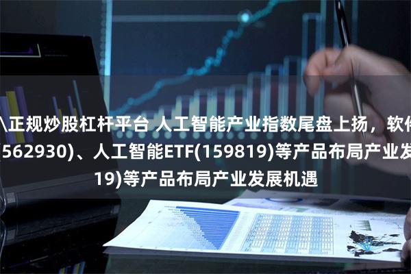 \正规炒股杠杆平台 人工智能产业指数尾盘上扬,软件30ETF