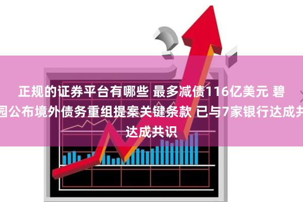 正规的证券平台有哪些 最多减债116亿美元 碧桂园公布境外债
